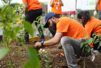 Planting