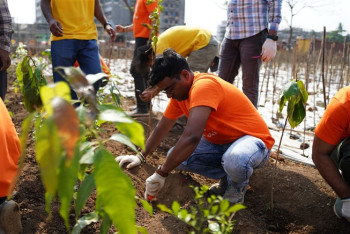 Planting