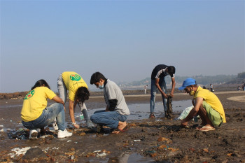 Beach_Cleaning