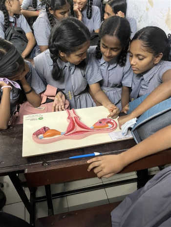 uterus model observation