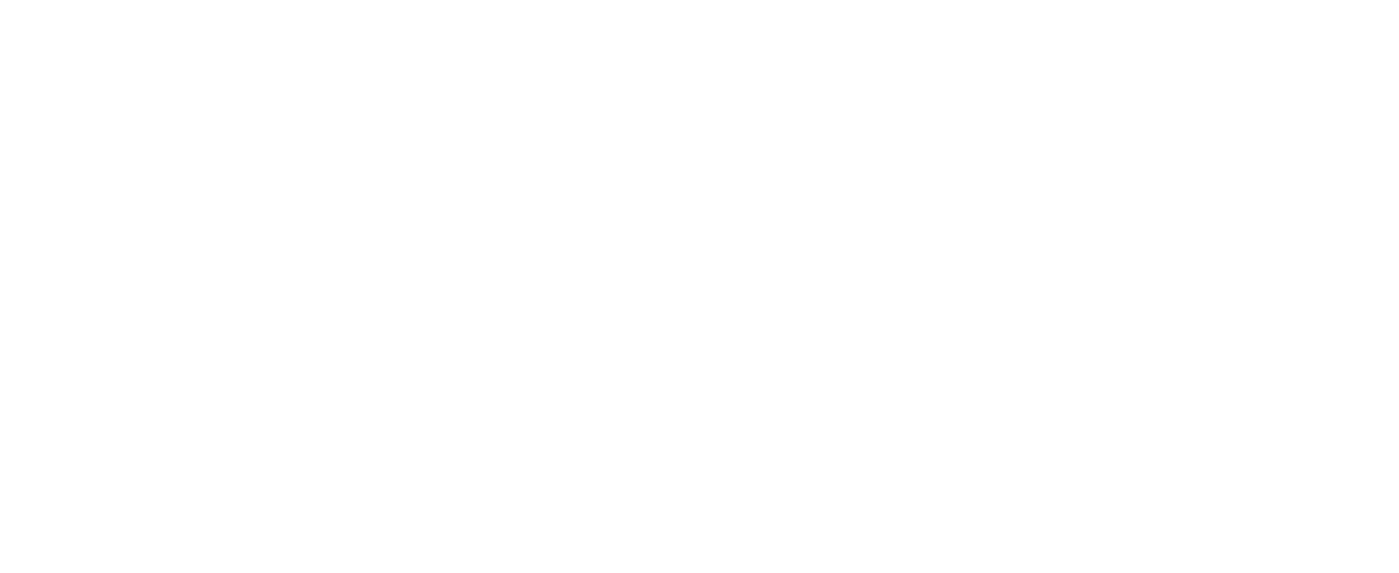 Shoonya logo